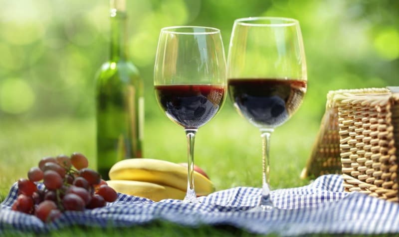 Two glasses of red wine next to a bottle, grapes, bananas, and a picnic basket on a checkered blanket in a grassy setting. Two glasses of red wine next to a bottle, grapes, bananas, and a picnic basket on a checkered blanket in a grassy setting.