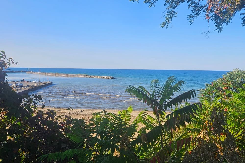 A serene view of a coastline with gentle waves, a pier, and lush greenery in the foreground.
