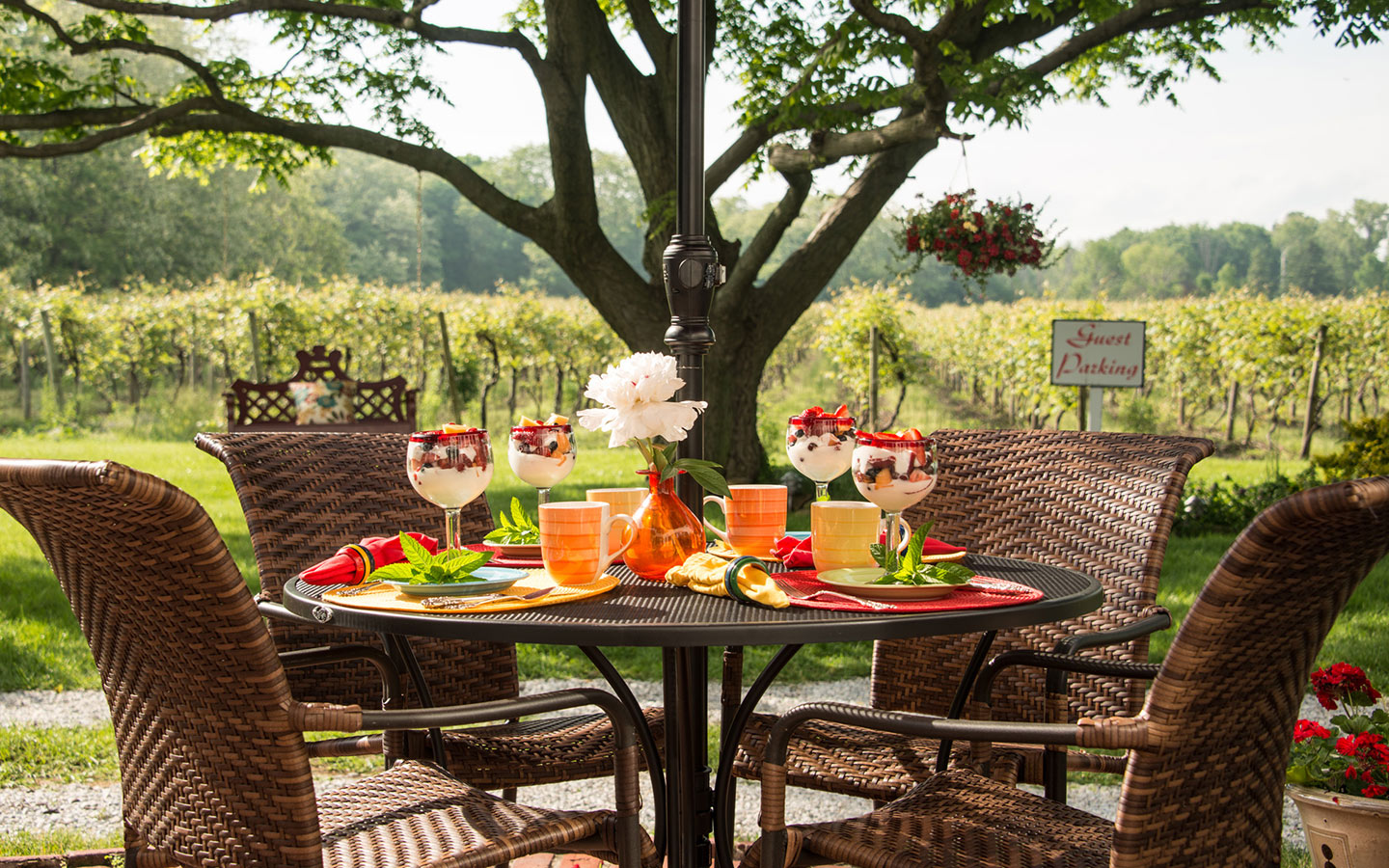 Breakfast Outdoor in our Chautauqua B&B