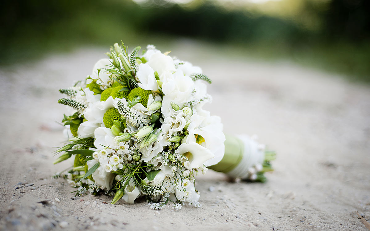 Lake Erie Wedding Venue