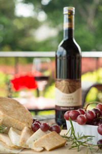lake erie wine country events