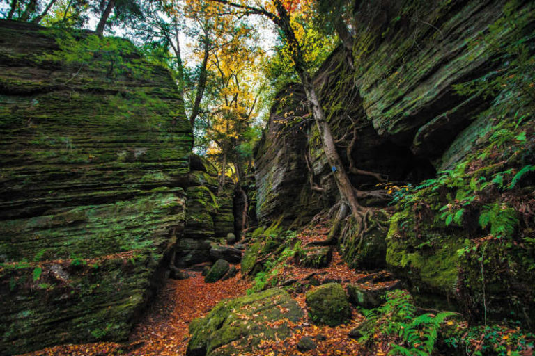 Lakeside Bliss: 5 Stunning Hiking Trails in Chautauqua – New York Lakeside Bliss: 5 Stunning Hiking Trails in Chautauqua – New York
