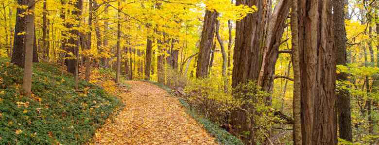 Fall Hiking in Chautauqua