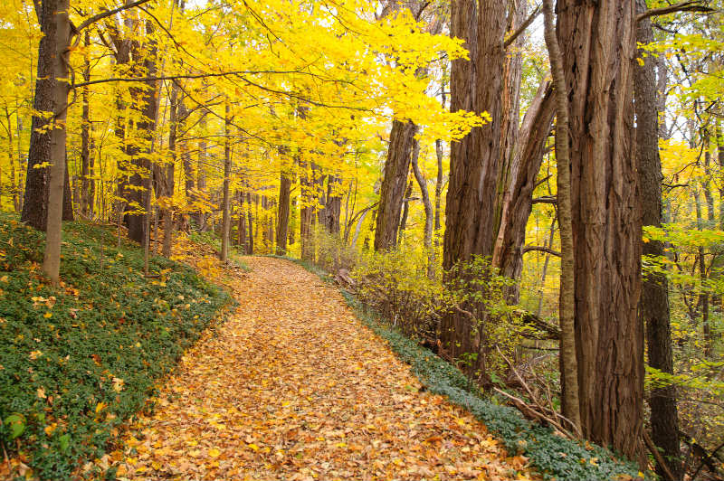 Fall Hiking in Chautauqua